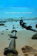 the undersea network